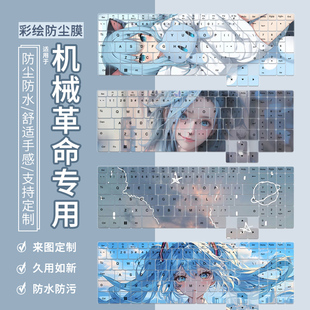 适用于机械革命极光X/蛟龙16Pro/16K/耀世4060/5060笔记本键盘膜