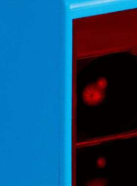 现货原装正品 WL250-2P2431 6044699镜反射式光电传感器