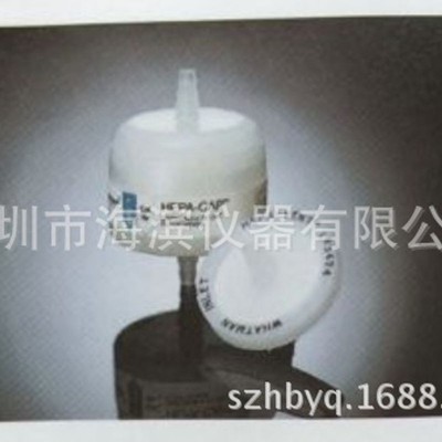 WHATMAN精密囊式过滤器2702M PTFE聚四氟乙烯膜批发
