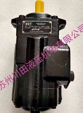 BST液压油泵SV11C-32-25-R02-C1  SV11C-63-63-2R01-C100