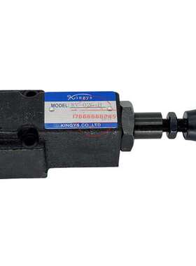 kingys金油圣 直动式溢流阀 RV-02G-H 液压阀