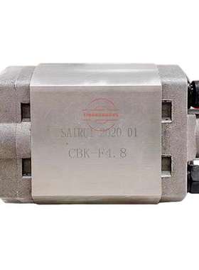 SAIRUI微型齿轮泵CBK-F0.75 F1.1 F1.6 F2.1 F2.6 F3.2 F3.7 F4.2