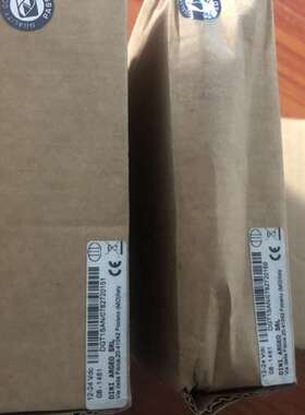 意大利diniargeo狄纳乔DGT1S称重变送器 DGT1SAN模拟量重量变送器