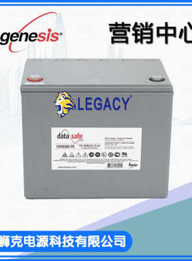 美国DATASAFE蓄电池12HX300 FR 12V72AH数据机房电源 美国 艾诺斯