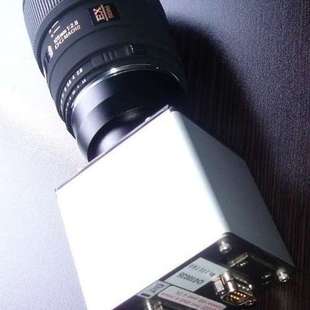 Grey 1394B Flea2 03S2M 黑白CCD工业相机 FL2 灰点Point