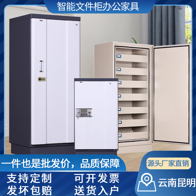 防磁柜钢制带锁硬盘数据柜防火防潮音像资料柜光盘存放柜昆明厂家