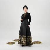 汉服盘金绣仿雪尼尔绒感内搭衬衫 原创宋制飞机袖 上衣 金团 织造司