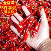 福建辣椒王500克 香辣 包邮 超辣 辣椒 古田朝天椒 正品