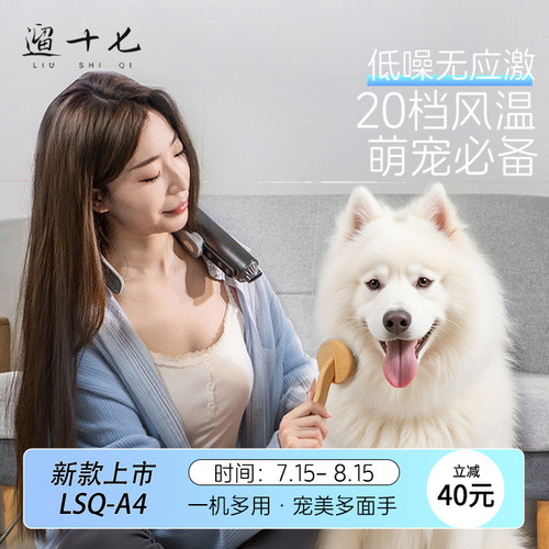 宠物美容吹风机低音四档大风力