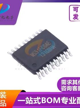 原装正品 MS51FC0AE 贴片TSSOP20 闪存8位微控制器单片机 BOM配单