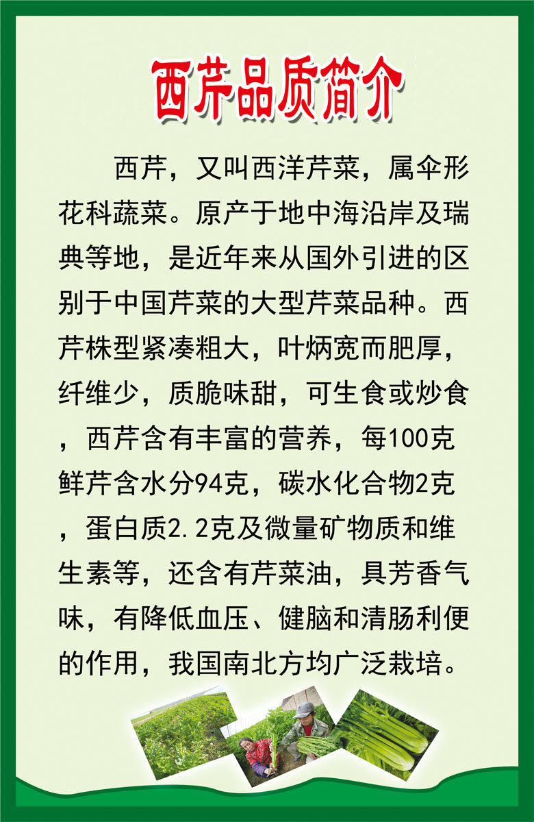 海报印制208海报展板素材(制作)5西芹功效品质简介绍图