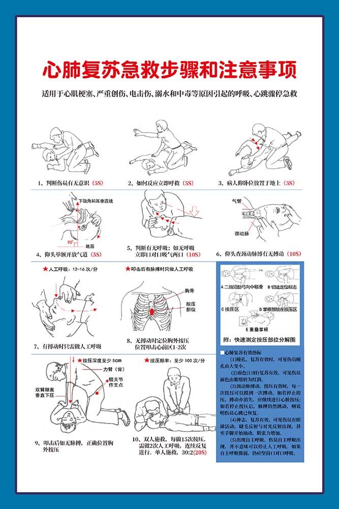 m771心肺复苏急救步骤和注意事项示意图上墙贴纸写真海报印制949