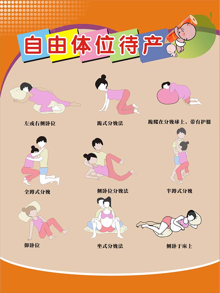 m769自由体位待产产科分娩图示上墙贴画挂图喷绘展板海报印制1784