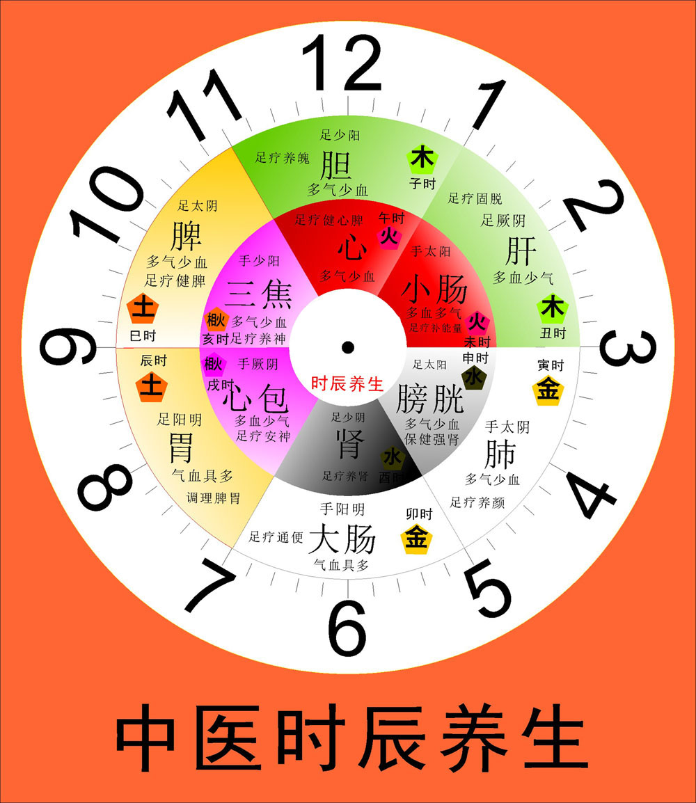 m768子午流注生物钟对络养生之道684装饰画写真海报印制展板喷绘