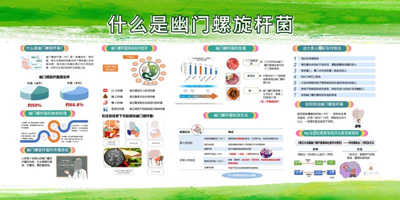 m769幽门螺旋杆菌医院健康知识教育宣传栏kt展板海报印制喷绘2770