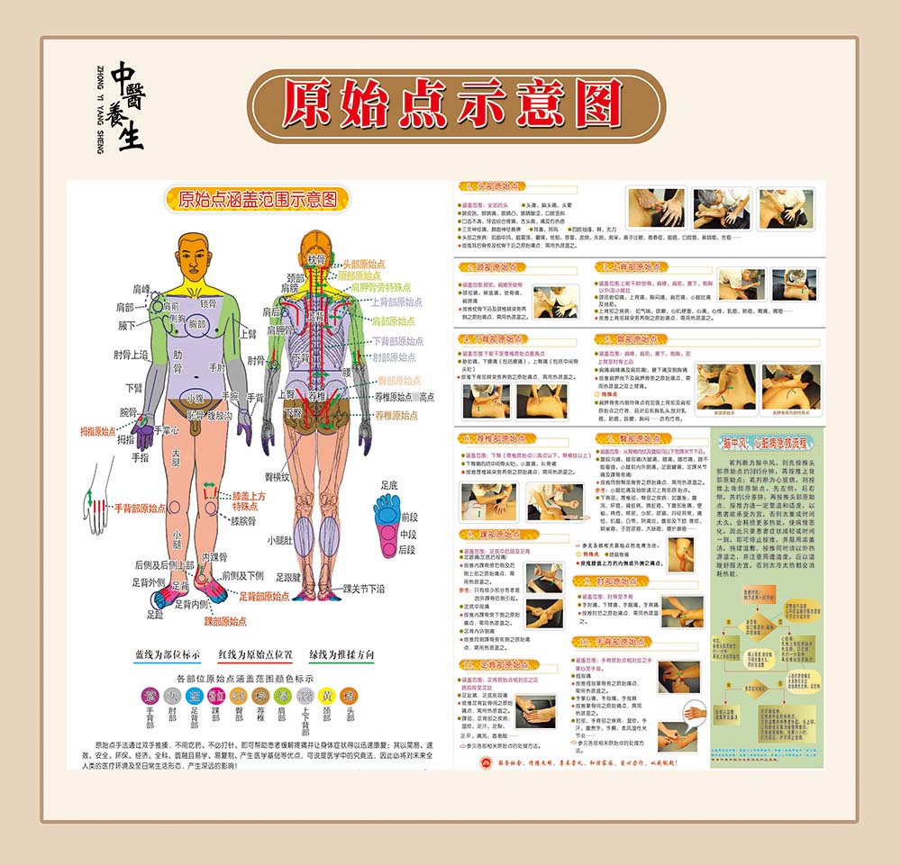 人体原始点分布图图片