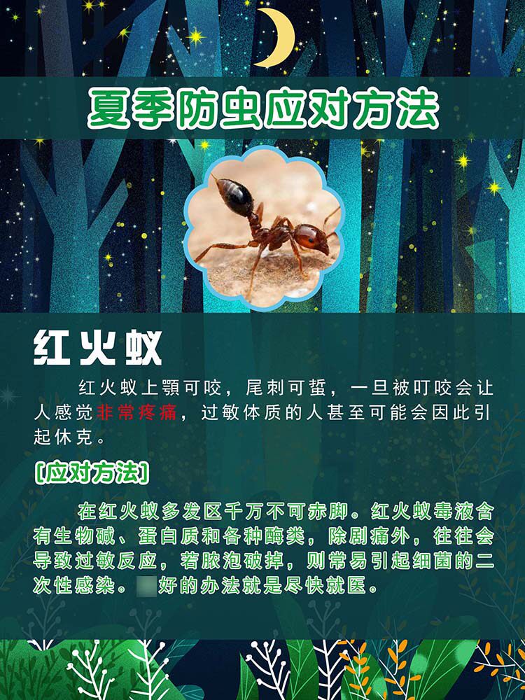 m769预防红火蚁咬伤应对方法夏季防虫常识科普墙贴纸1296海报印制