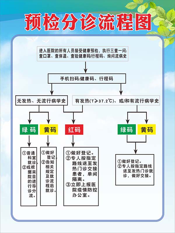m771医院门诊疫情期间红黄绿码预检分诊流程图张贴纸海报印制273
