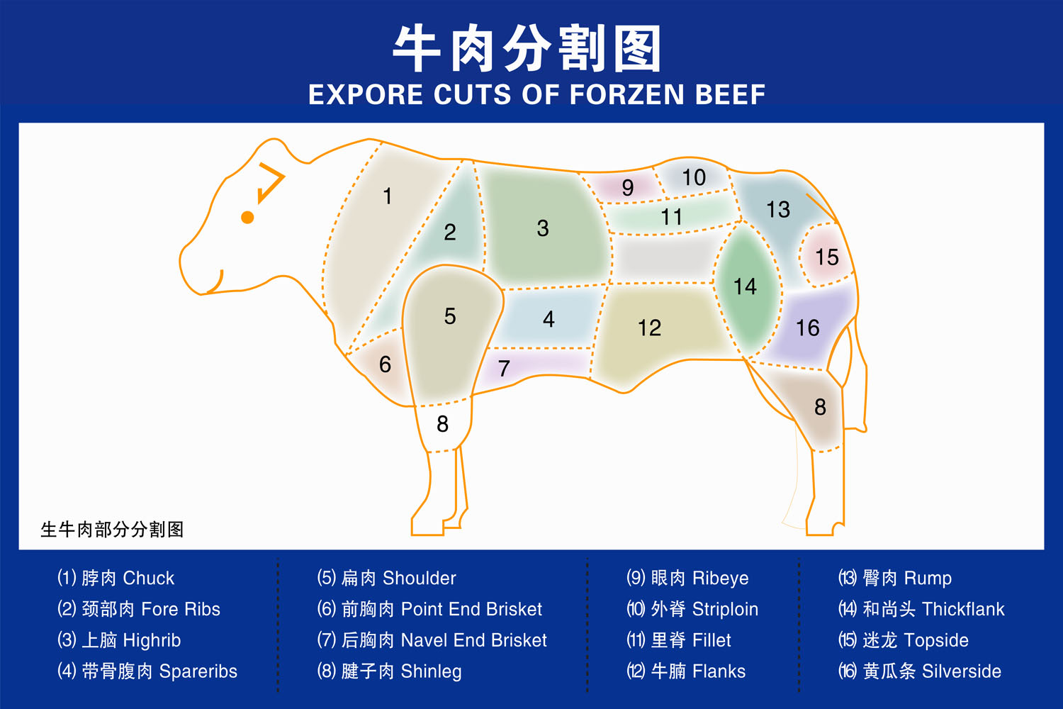 m768市场超市牛肉分割分切图部位图324写真海报印制喷绘