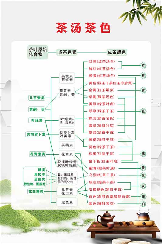 m771茶汤茶色成茶颜色茶叶审评流程图墙贴纸挂图写真海报印制1180