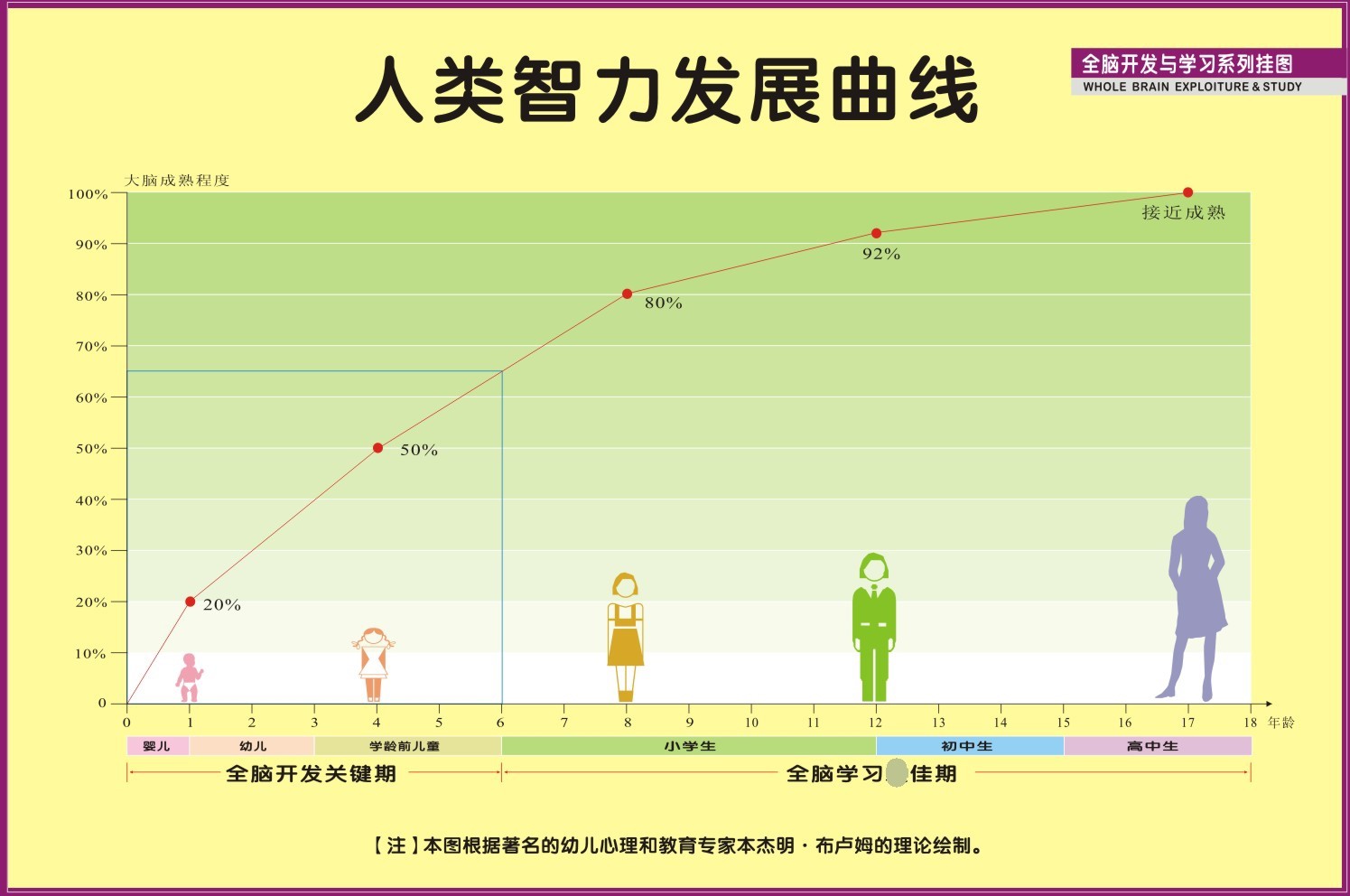 m769人类大脑脑部智力发展曲线学习系列挂图35海报印制展板喷绘