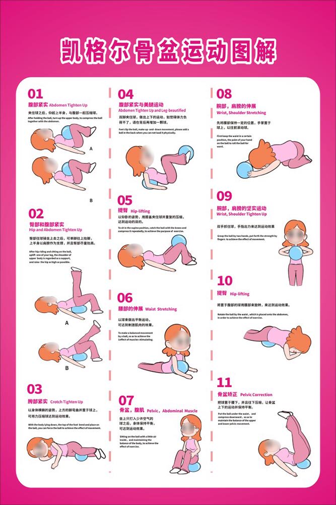 m771女性盆肌底修复康复凯格尔骨盆运动图解海报印制展板贴纸1277