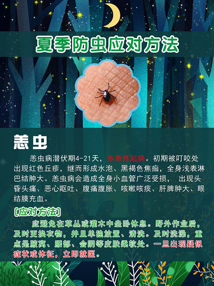 m769恙虫叮咬症状及应对方法预防措施宣传贴图1296kt展板海报印制