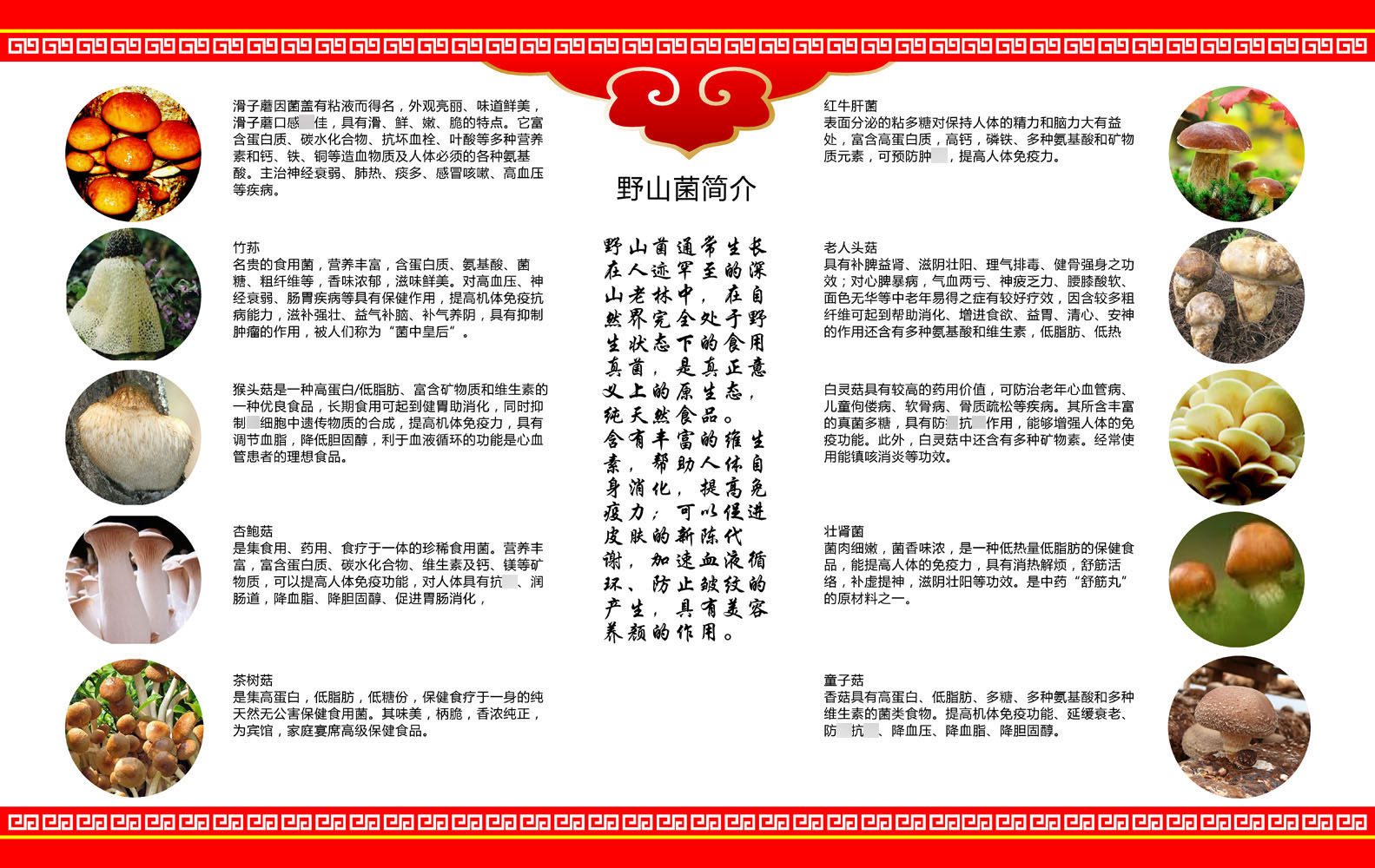 645海报印制写真展板墙贴纸喷绘864蘑菇营养价值说明野山菌简介
