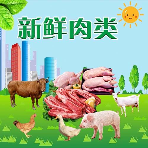 m769新鲜肉类超市生鲜区店灯箱图片墙贴画纸写真喷绘海报印制2755