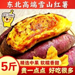 精选东北雪山红薯黄金蜜薯辽宁康平地瓜日本玛莎莉新鲜小番薯山芋