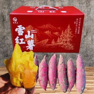 精选高端玛莎莉雪山红薯5斤礼盒黄金蜜薯康平地瓜新鲜小番薯山芋