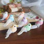 饰点缀小物件羽毛泡沫鸟2 微景观小鸟装 5厘米 通草鸟 泡沫迷你鸟