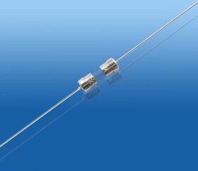 保险丝 保险管 0.1A 快断 F100MA250V 3.6*10 双帽 带脚