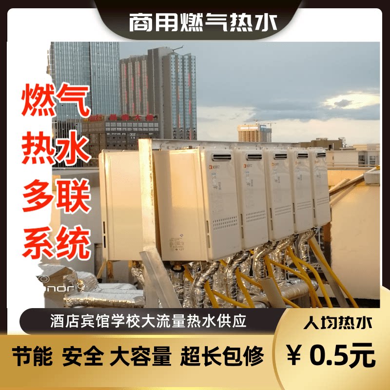 泳池加热设备燃气锅炉恒温加热器水循环游泳池温泉浴池恒温游泳馆