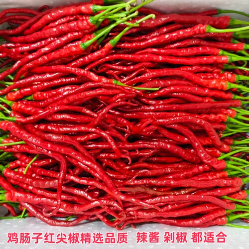 湖南特产本地土辣椒鸡肠子红辣椒