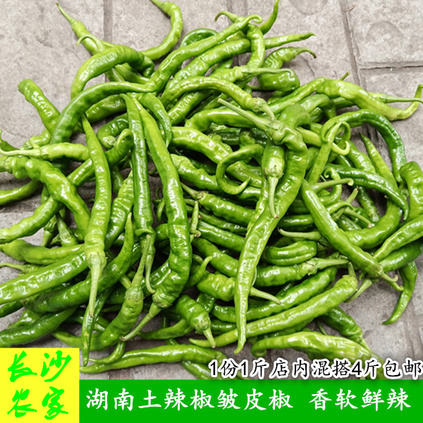 湖南青椒皱皮椒香辣薄皮辣椒