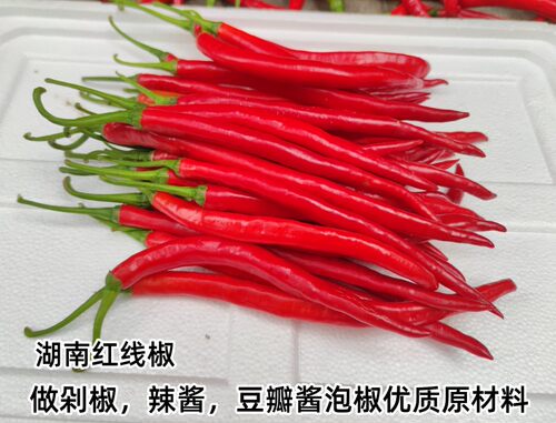 湖南红辣椒新鲜红尖椒长线椒