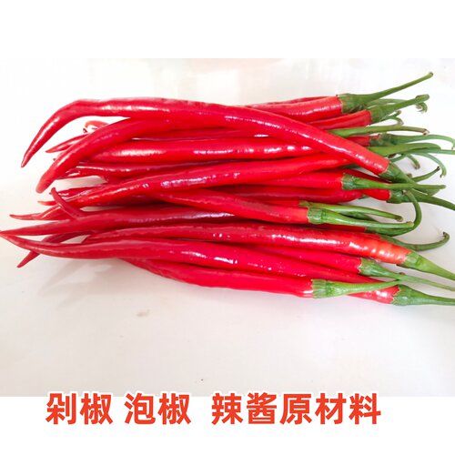 湖南红辣椒新鲜红尖椒长线椒