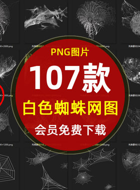 透明白色蜘蛛网效果PNG免抠图片 恐怖破旧蛛丝万圣节鬼屋素材N531