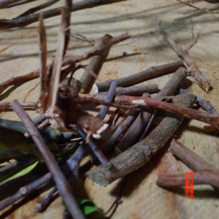 山捻子 桃金娘250g 乌稔 草根汤材料 福建三明尤溪特产