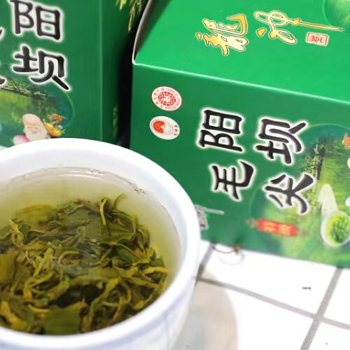 甘肃陇南康县特产绿茶龙神阳坝毛尖250g碧口李子坝高山毛峰礼盒品