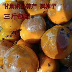 酒柿子甘肃陇南成县农家大缸高粱酒腌制冬季应季甜脆硬柿老家年货