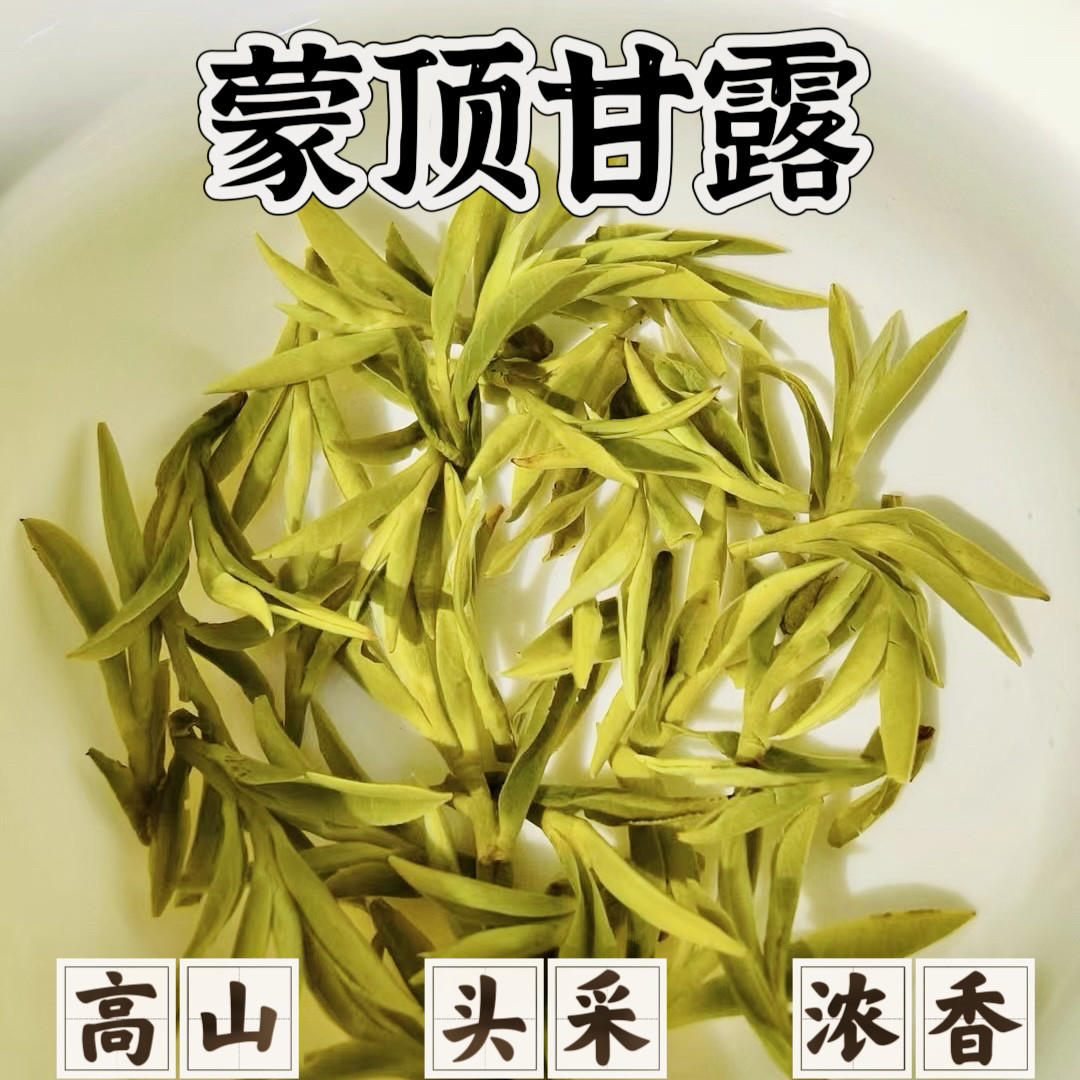 2026新茶四川特级绿茶蒙顶甘露浓香型明前高山云雾碧螺春散装100g