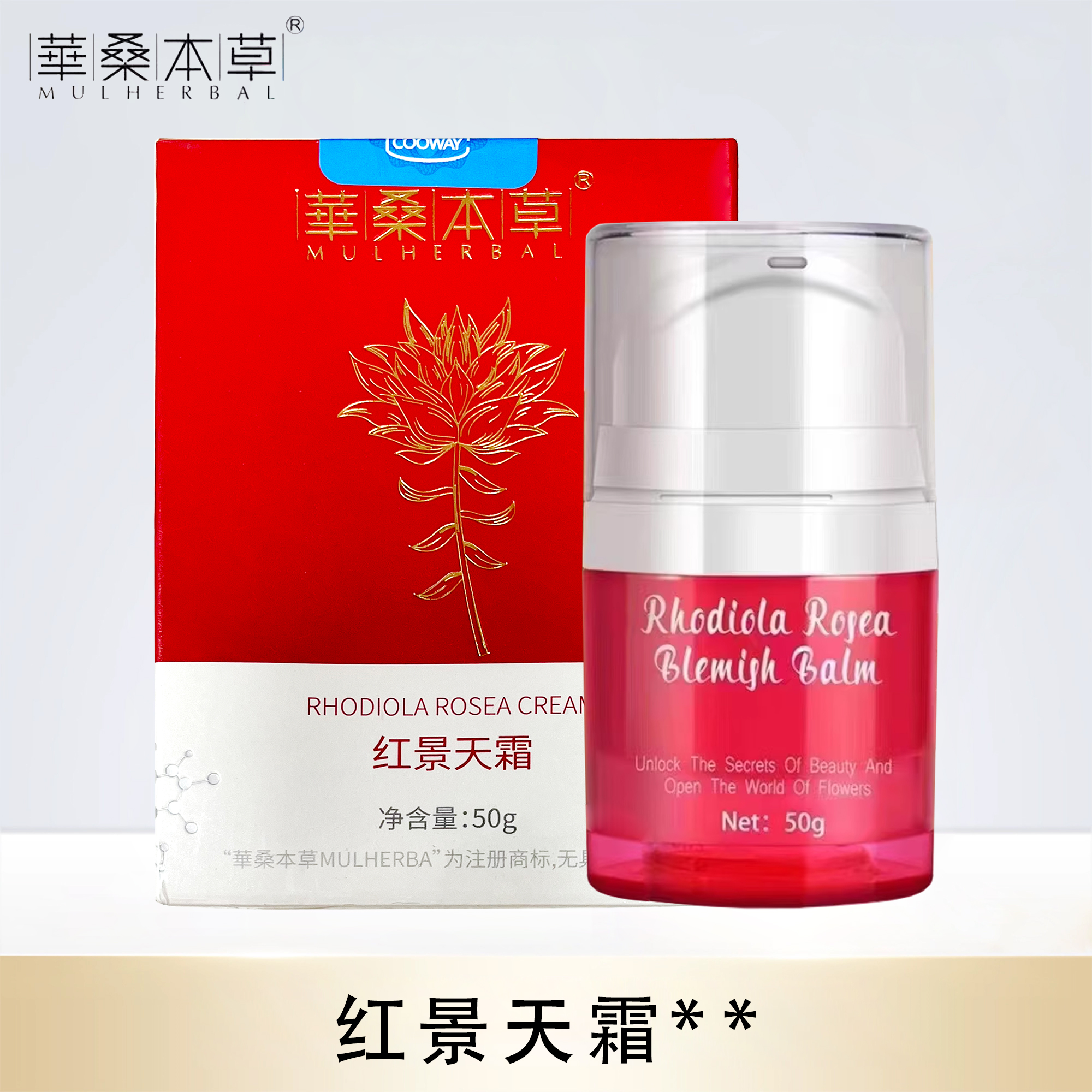 50g中国广东华桑本草