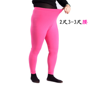 大码胖mm中老年人妈妈高腰版女士秋裤加肥加大纯棉打底裤衬裤