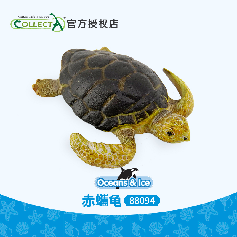 仿真大海龟模型玩具赤蠵龟