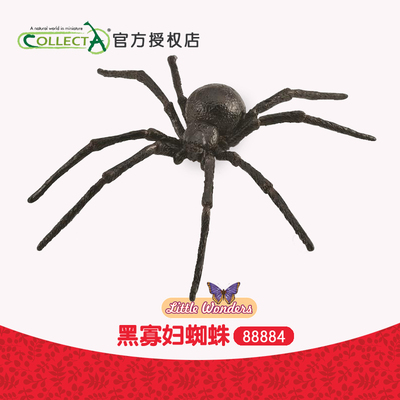 英国我你他动物模型玩具科普昆虫