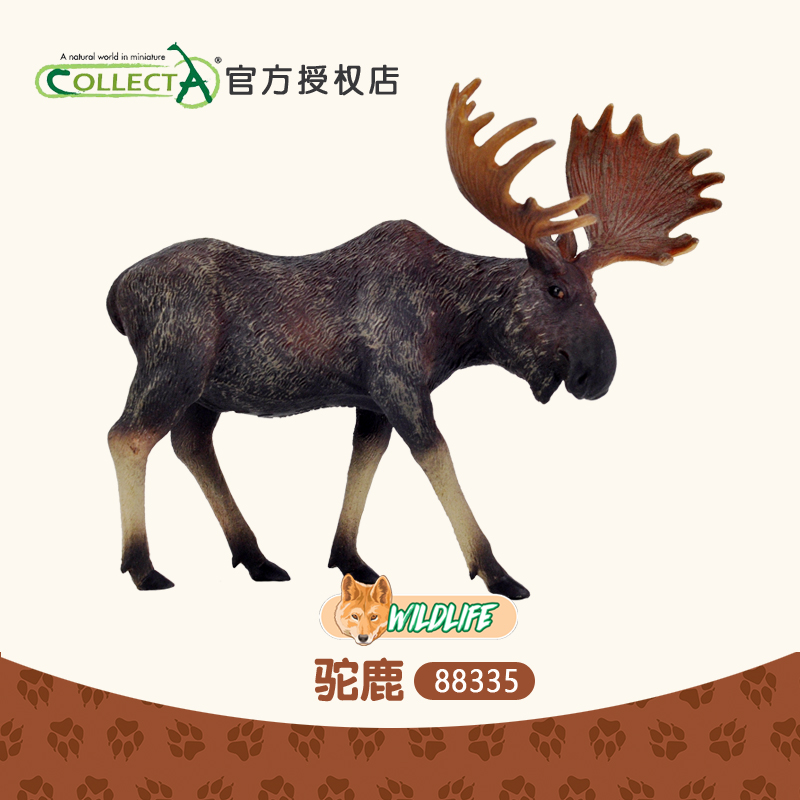 正品英国我你他Collecta驼鹿 仿真马鹿动物模型玩具摆件认知88335