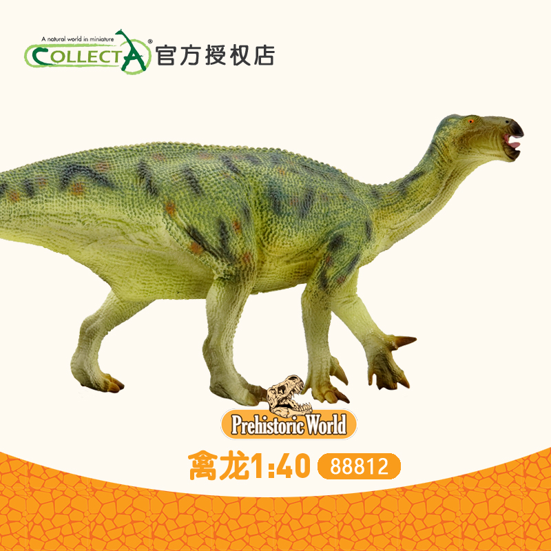 我你他模型恐龙动物