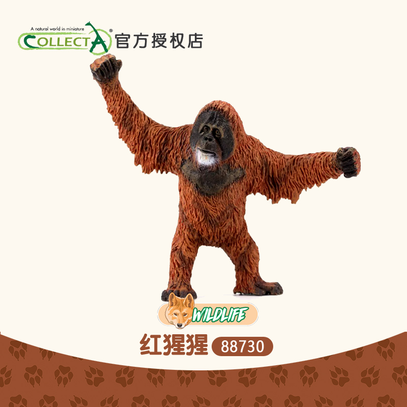 CollectA红毛猩猩动物模型